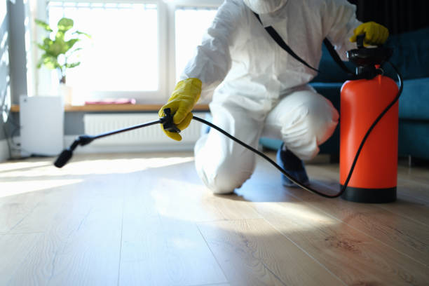 Trusted Unattended Death Cleanup service in Black Diamond, FL - Four Month Blood Cleanse